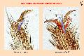 ../images/FO022.jpg