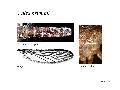 ../images/brumpti1.png
