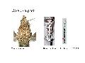 ../images/caspius2.png