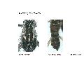 ../images/gilcoll1.png