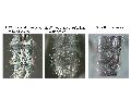 ../images/abdtufts1.png