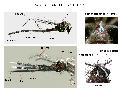 ../images/head_all_in_one1_Copy_3_.png