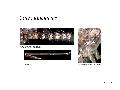 ../images/laticinctus1.png