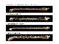 ../images/leg1tibia.png