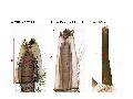 ../images/siphonsize.png