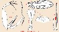 ../images/txdiss3m.jpg